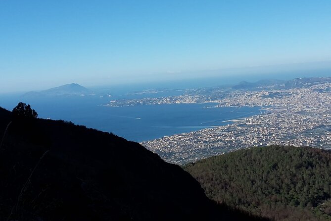 Mount Vesuvius tour by bus and ticket included from Ercolano - Price and value: is $50.33 a good deal?