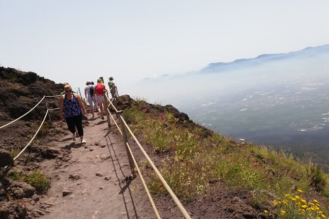 Mount Vesuvius tour by bus and ticket included from Ercolano - Who this tour is perfect for, and who should consider alternatives