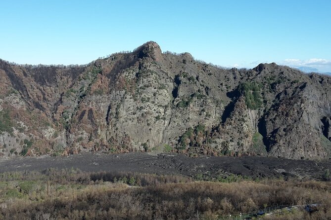 Mount Vesuvius tour by bus and ticket included from Ercolano - Should you book this Mount Vesuvius bus tour from Ercolano?