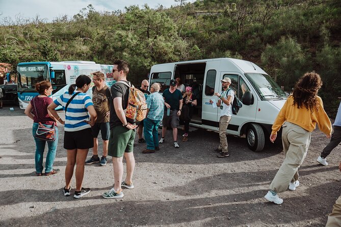 Mount Vesuvius Tour from Pompeii Led by an Expert Guide - How the climb and rest stops work for different bodies