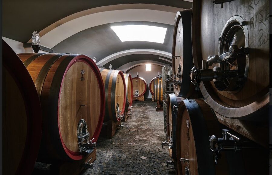 Mount Vesuvius: Vineyard Tour with Wine Tasting and Lunch - Should you book this Mount Vesuvius wine and lunch?