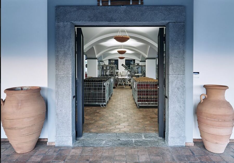 Mount Vesuvius: Vineyard Tour with Wine Tasting and Lunch - Lunch with a view: local ingredients and wine pairings