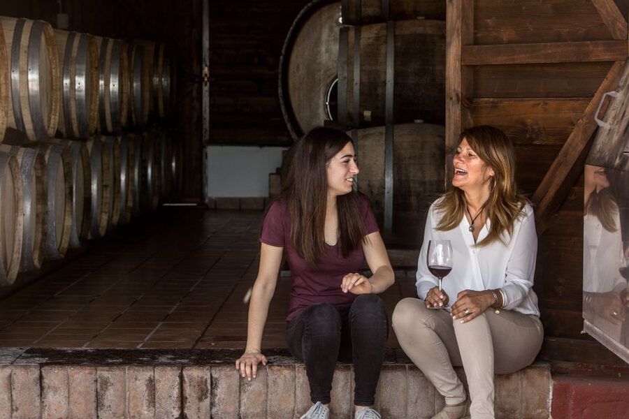 Mount Vesuvius: Vineyard Tour with Wine Tasting and Lunch - The views are not background noise