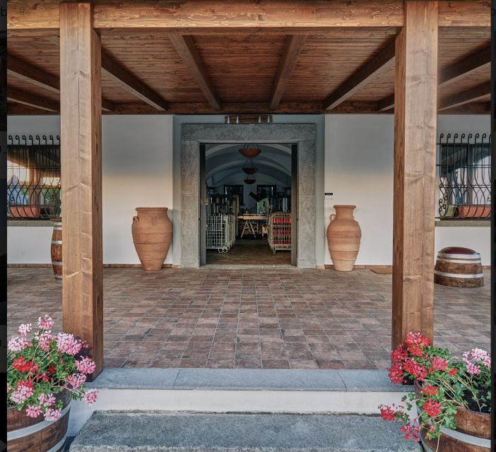 Mount Vesuvius: Vineyard Tour with Wine Tasting and Lunch - Price and value: why $65 can make sense here