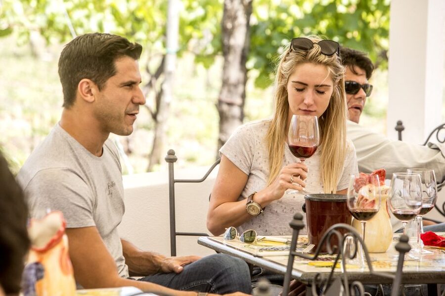 Mount Vesuvius: Vineyard Tour with Wine Tasting and Lunch - Logistics tips so your day stays easy