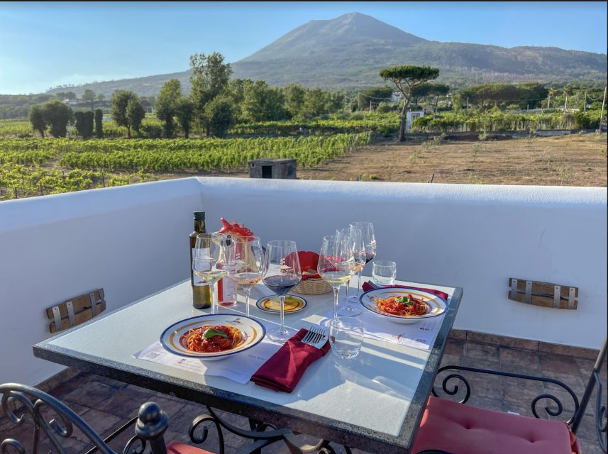 Mount Vesuvius: Vineyard Tour with Wine Tasting and Lunch - Who should book, and who should skip it