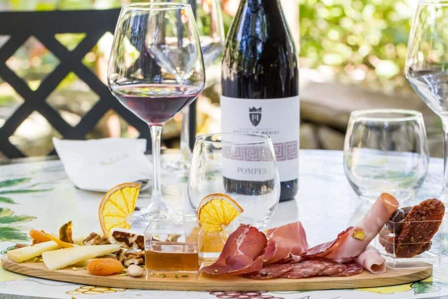 Mount Vesuvius Wine Tasting and Lunch from Pompeii - From Pompeii to the winery: how the day really runs