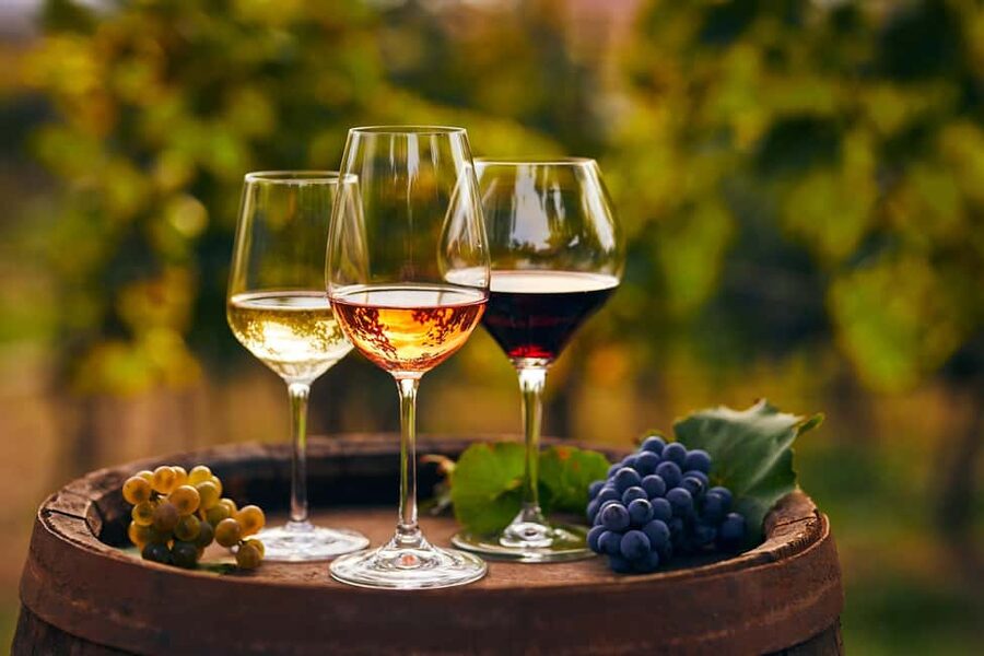 Mount Vesuvius Wine Tasting and Lunch from Pompeii - Wine tasting that’s paired with lunch, not separate and confusing