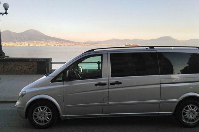 Mt Vesuvius - Language and On-Board Commentary That Makes the Volcano Make Sense