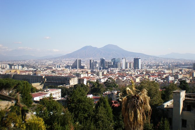 Mt Vesuvius Half-Day Trip from Naples - Naples to Vesuvius in about 4 hours, the real rhythm