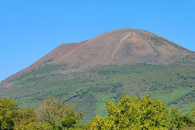 Mt Vesuvius Half-Day Trip from Naples - Driver-guide narration and the type of explanations you’ll likely get