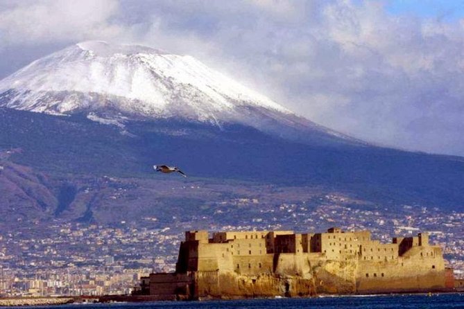Mt Vesuvius with Winery Visit - Mt. Vesuvius plus Bosco de Medici: a Naples day with real payoff