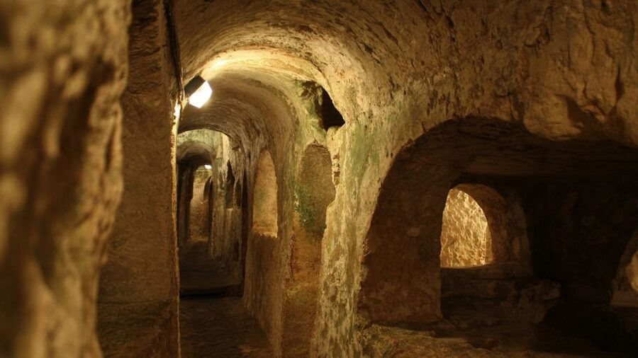 Naples: 7 Days Pass - Pompeii, Museums & Transport Included - How the Naples Pass 7 Days works on your phone