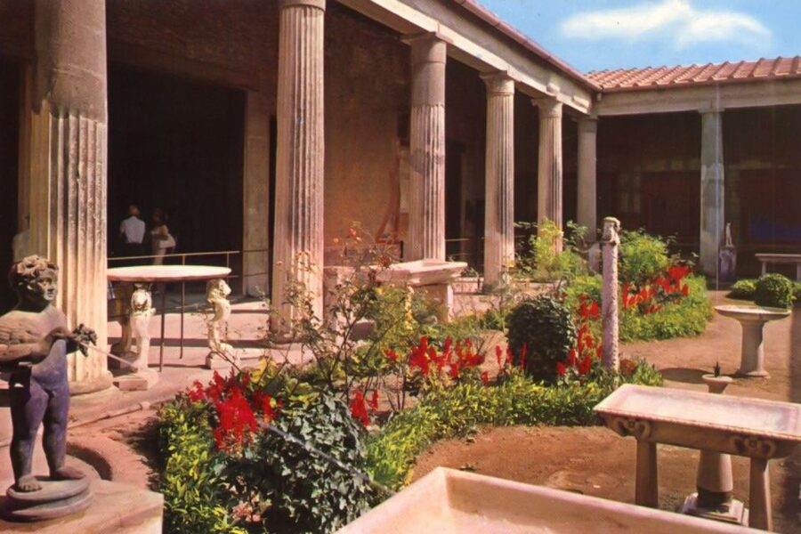 Naples and Pompeii: Half-Day Tour - Who Should Book This Tour (and Who Should Skip It)