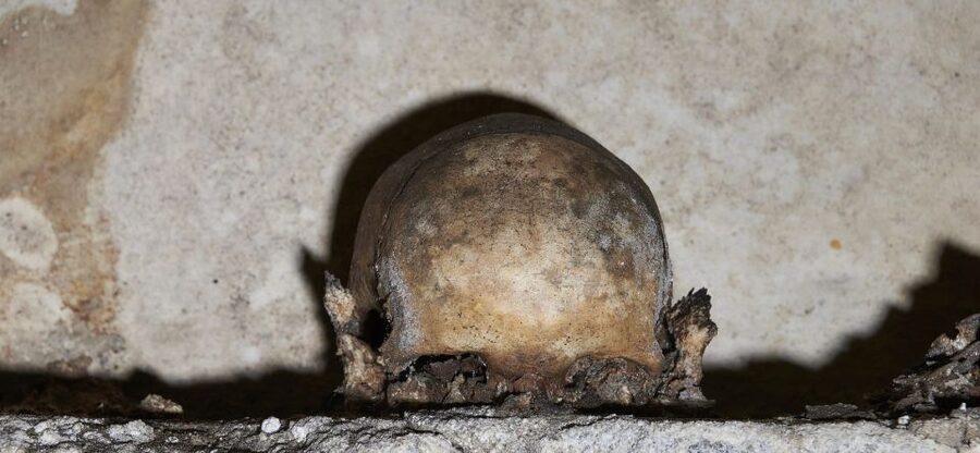 Naples: City and Lapis Museum Tour with an Archaeologist - LAPIS Museum Path and WWII Air Shelters, Where Survival Leaves Traces