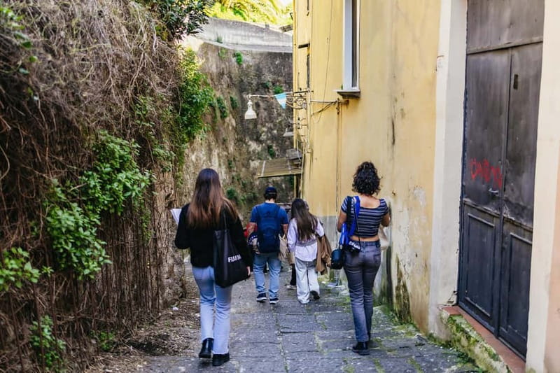 Naples: Panoramic Walking Tour with Funicular - Who this Naples panoramic walk is best for