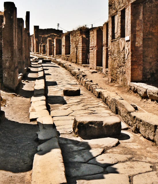 Naples: Pompeii and Herculaneum Private Walking Tour - Private Guide Value: Why This Format Usually Pays Off