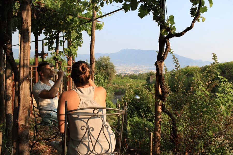 Naples: Pompeii and Herculaneum Tour with Tickets and Lunch - How This Naples Day Trip Packs Pompeii, Herculaneum, and Lunch