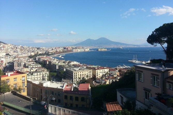 Naples, Pompeii and Sorrento full day tour from Naples - Pompeii with skip-the-line entry, and a guide route you can actually follow