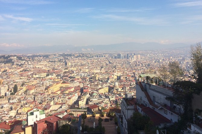 Naples, Pompeii and Vesuvius full day tour from Naples - Tickets, Transportation, and the Skip-the-Line Value