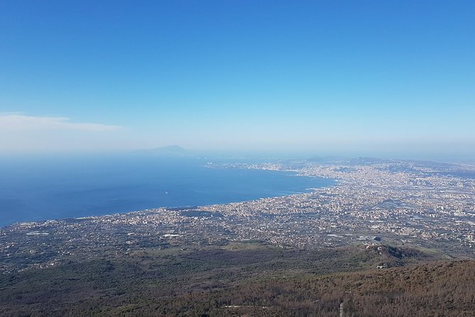 Naples: Pompeii, Herculaneum, and Vesuvius Tour by Minivan - Price and Logistics: What you pay for in Naples