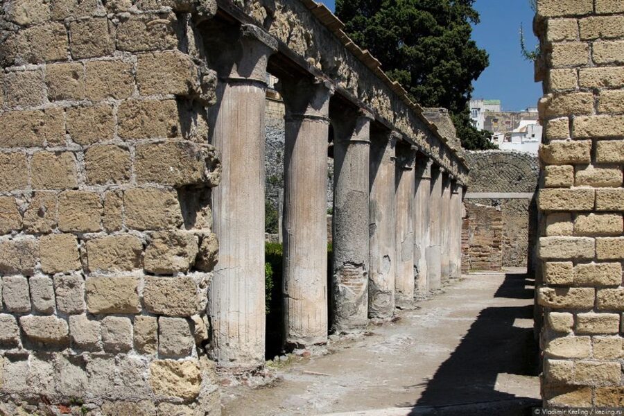 Naples: Pompeii, Herculaneum, and Vesuvius Tour by Minivan - Value for Money: Is $192.58 a Smart Deal?