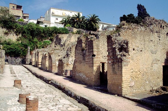 Naples: Pompeii, Herculaneum, and Vesuvius Tour by Minivan - Getting Picked Up Around Naples, Without Losing the Day