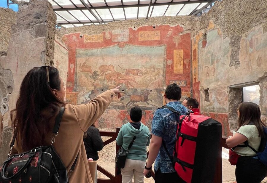 Naples: Pompeii & Mt. Vesuvius Day Trip with Tickets & Lunch - Skip-the-line Pompeii and what a 2-hour guided tour really means