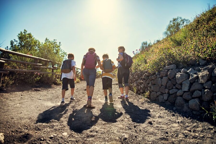 Naples: Pompeii & Mt. Vesuvius Day Trip with Tickets & Lunch - Who should book this Naples Pompeii and Vesuvius tour?