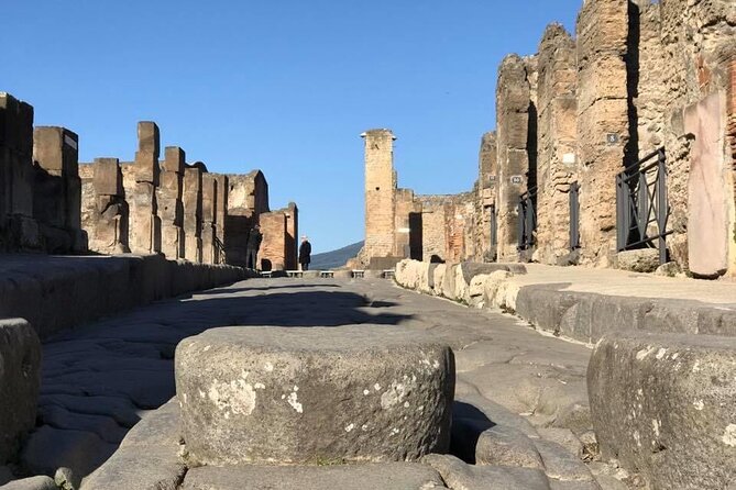 Naples port tour Sorrento and pompeii and overview of positano - Your private pickup from Naples port, with real English support