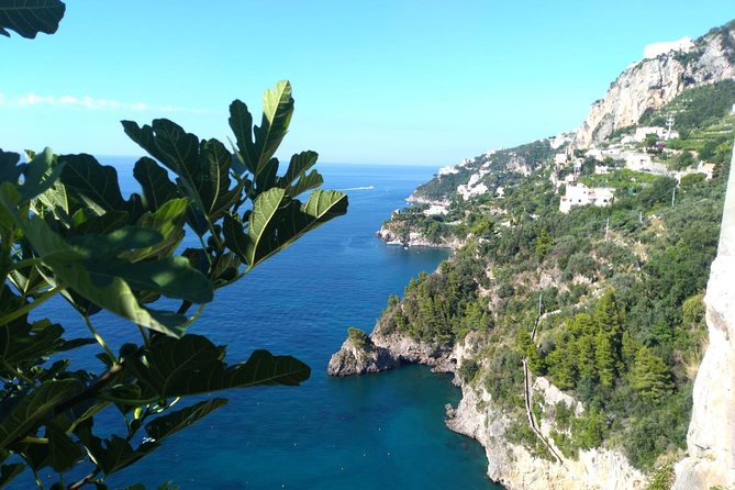 Naples port tour Sorrento and pompeii and overview of positano - How long will the day really take?