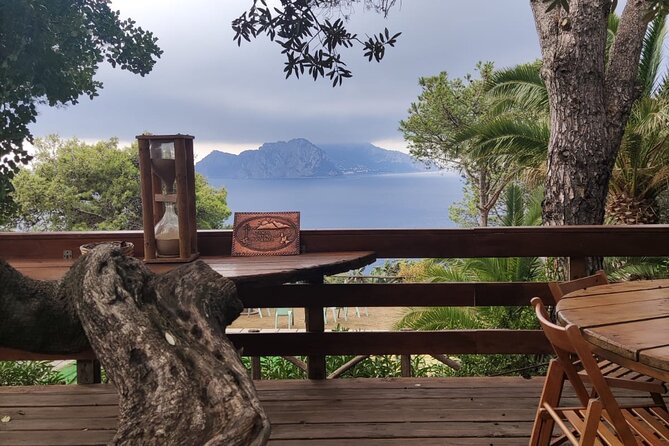 Naples port tour Sorrento and pompeii and overview of positano - Price and value: what you are paying for