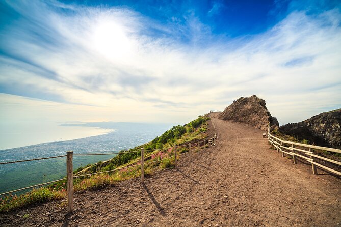 Naples/Salerno Port: Pompeii & Vesuvius - lunch or wine tasting - Key things that make this tour work