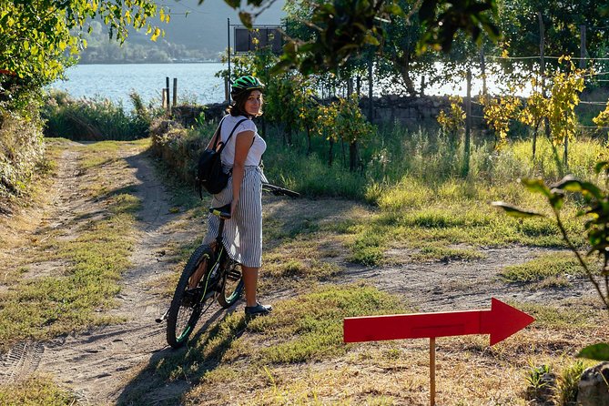 Naples Scenic E-Bike Ride to a Local Vineyard with Meal - The vineyard lunch and wine tasting: what’s included, and how to plan your appetite