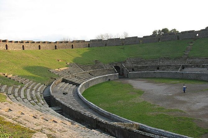 Naples Shore Excursion Mt Vesuvius and Pompeii Day Trip - Should you book this Naples Pompeii and Vesuvius day trip?