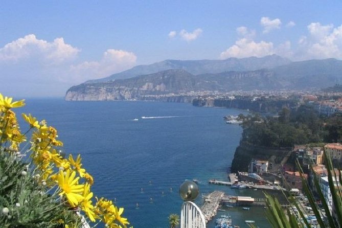 Naples Shore Excursion: Pompeii and Sorrento Day Trip - Key things that make this Naples shore day trip work