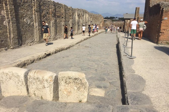 Naples Shore Excursion: Pompeii and Sorrento Day Trip - Price and value: does $110.56 make sense?