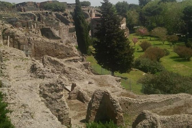 Naples Shore Excursion: Pompeii Half Day Trip from Naples - Should you book this Naples Pompeii half-day trip?