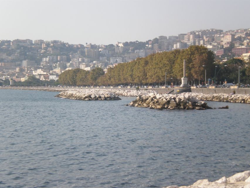 Naples Sightseeing Tour for Small Groups - Town Hall Square and New Castle of Anjou: Window-View Power