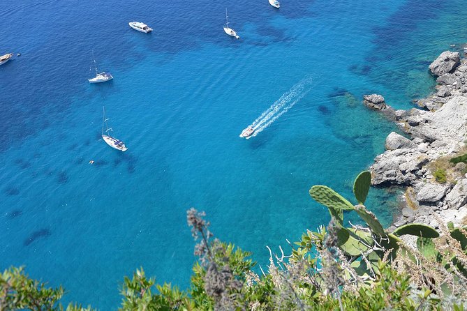 Naples to Capri Private Boat Excursion - Meeting at Mergellina Port and setting expectations