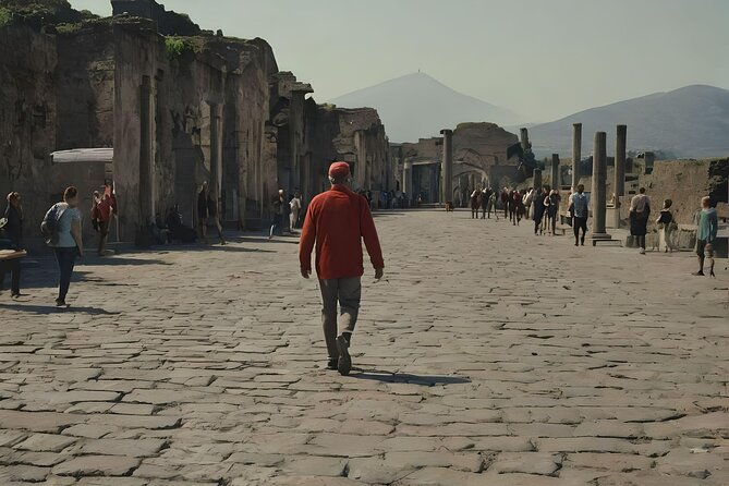 Naples to Pompeii direct transfer (or viceversa) - Price and Value: What $69.38 Buys You