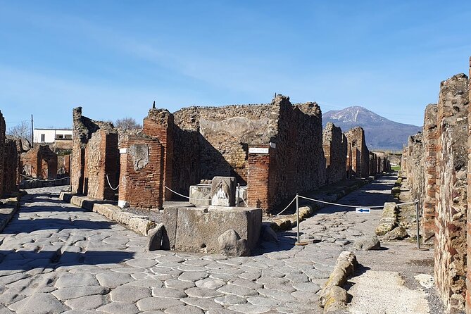 Naples: Tour of Mt Vesuvius and Pompeii w/ Lunch & Wine tasting - Starting in Naples: pickup timing and how the day stays on track