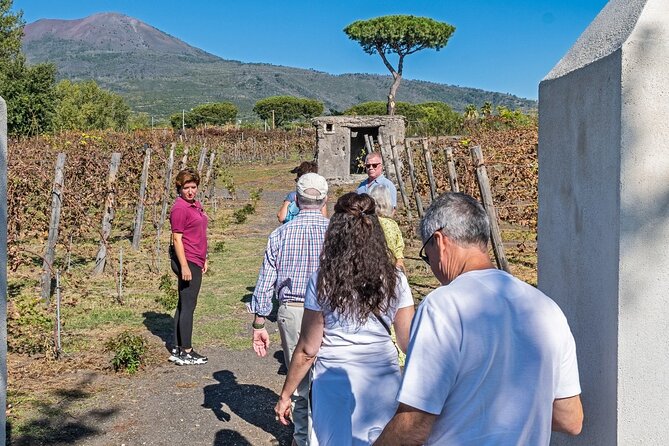 Naples: Tour of Mt Vesuvius and Pompeii w/ Lunch & Wine tasting - Value check: is $147.06 a fair deal for you?