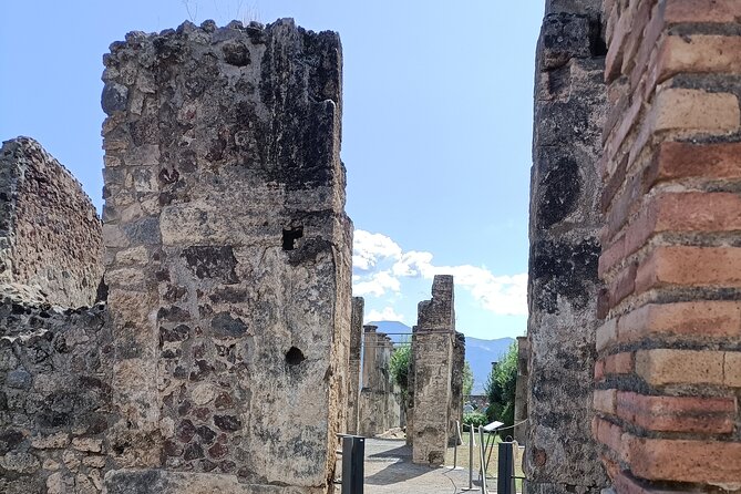 Naples transfer to Pompeii guided tour and Back - Back to Naples: the easy return that protects your day