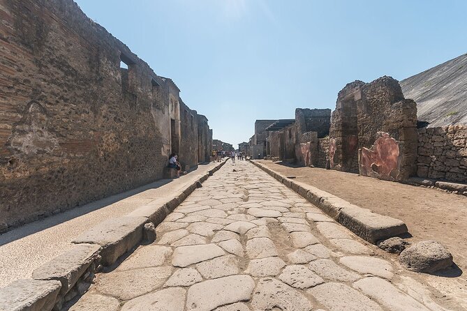 Naples transfer to Pompeii guided tour and Back - Price and value: is $234.99 per person a smart move?