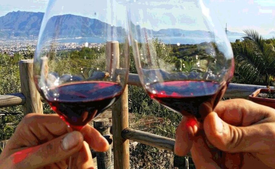 Naples: Vesuvius Half-Day Trip with Lunch and Wine Tasting - The stop at 1000 meters and your view of Mount Somma