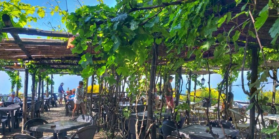 Naples: Vesuvius Half-Day Trip with Lunch and Wine Tasting - The crater-area walk and what to pay attention to