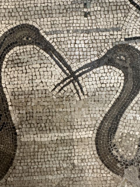 National Archaeological Museum of Naples Private Guided Tour - Pompeii and Herculaneum antiquities: making famous sites feel personal