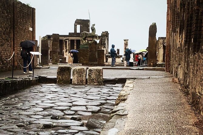 Once upon a time Pompeii 2 and a half hour tour - Meeting point near the parking, then into the park