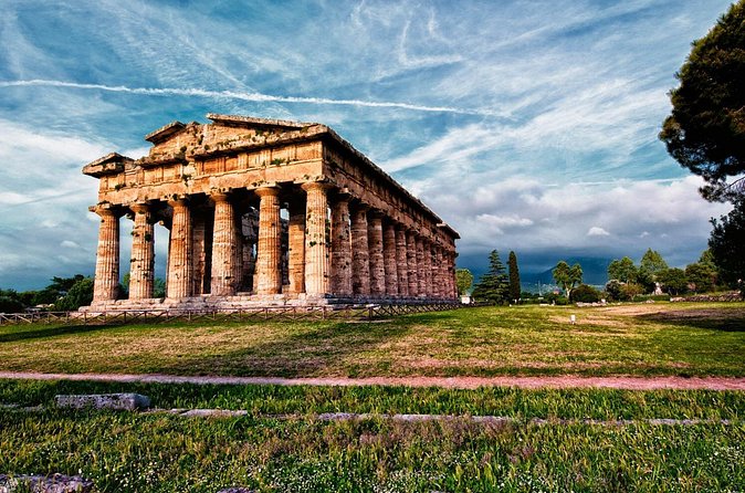 Pastum and Buffalo Mozzarella Drive - Buffalo Mozzarella in Campania: What DOP Means in Real Life